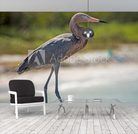 Afbeeldingen van A Reddish Egret stands on a fishing pier waiting for a meal